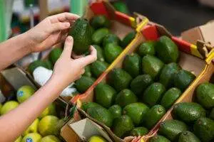 Person choosing avocados at grocery store.