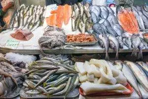 Variety of fresh seafood on display at market.