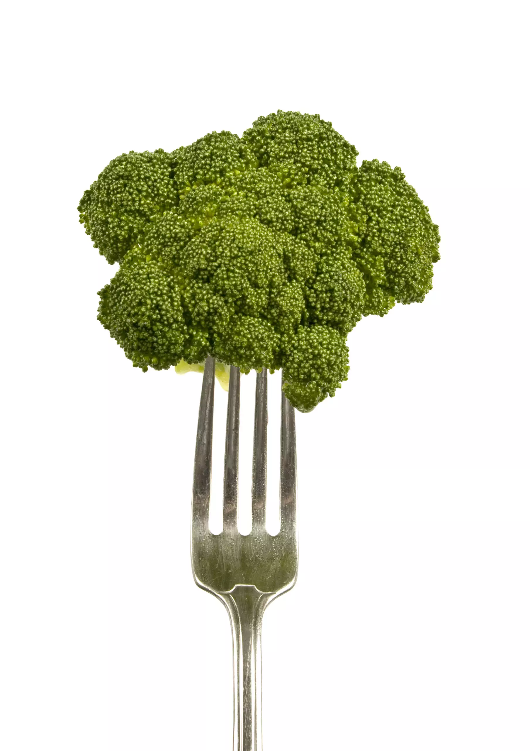 Broccoli floret on fork against white background.